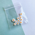 8mm White Glass Daisy Millefiori Bead - 10 Pack