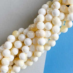 10mm White Shell Round Strand